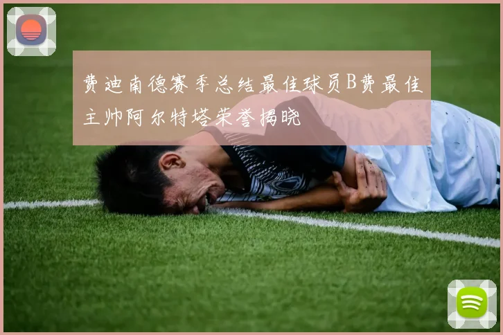 费迪南德赛季总结最佳球员B费最佳主帅阿尔特塔荣誉揭晓