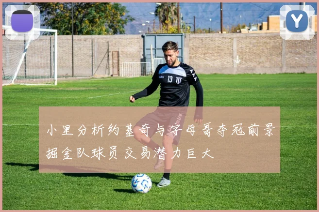 小里分析约基奇与字母哥夺冠前景掘金队球员交易潜力巨大